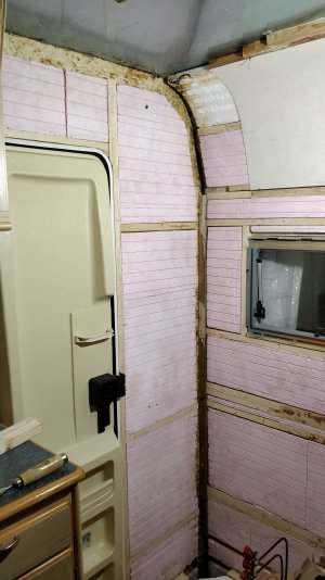 IMG_20211119_173720.jpg IMG_20211119_173720.jpg