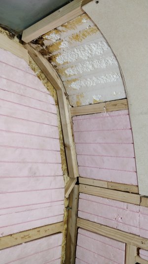 IMG_20211120_174444.jpg IMG_20211120_174444.jpg