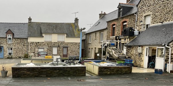 22AD10A7-824C-4CBE-908C-033E112FE3AA.jpeg 22AD10A7-824C-4CBE-908C-033E112FE3AA.jpeg