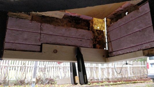 IMG_20211121_111941.jpg IMG_20211121_111941.jpg