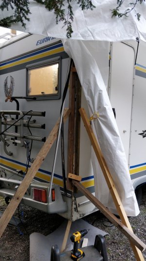 IMG_20211121_123938.jpg IMG_20211121_123938.jpg