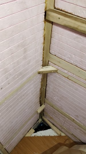 IMG_20211121_134256.jpg IMG_20211121_134256.jpg