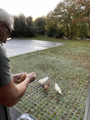 1637772580259.jpeg 1637772580259.jpeg