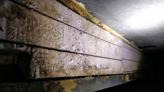 IMG_20211127_153545.jpg IMG_20211127_153545.jpg