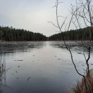 20211126_094347.jpg