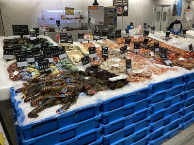 22B768D3-CE06-47DB-9F3F-735DD247C190.jpeg 22B768D3-CE06-47DB-9F3F-735DD247C190.jpeg