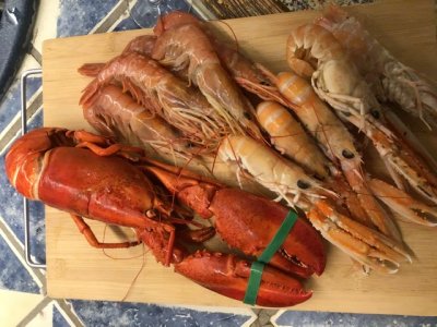 53F5BC82-A0AC-4D91-BBC8-4015924E887D.jpeg 53F5BC82-A0AC-4D91-BBC8-4015924E887D.jpeg