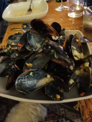 3F7ECFA2-F3E2-4388-BD0C-AB2A725C4077.jpeg 3F7ECFA2-F3E2-4388-BD0C-AB2A725C4077.jpeg