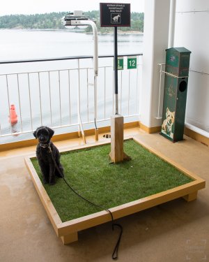 005-storyboard.jpg 005-storyboard.jpg