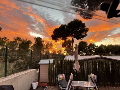 1638636376555.jpeg 1638636376555.jpeg