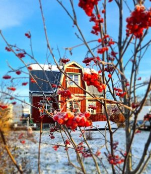 IMG_5431_edited-1.jpg IMG_5431_edited-1.jpg