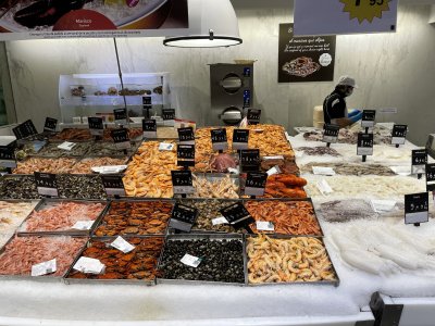 1639150777303.jpeg 1639150777303.jpeg