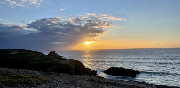 1639171621366.jpeg 1639171621366.jpeg