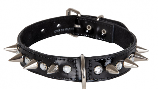 1639954741766.png 1639954741766.png