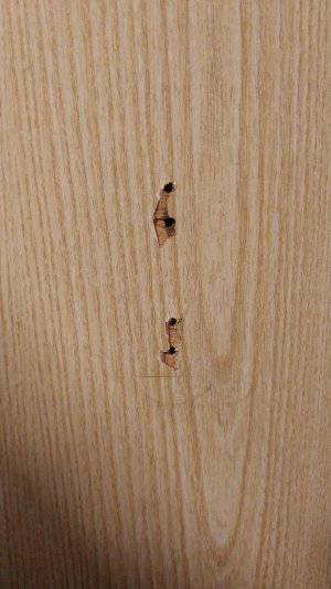 IMG_20211221_185902.jpg IMG_20211221_185902.jpg