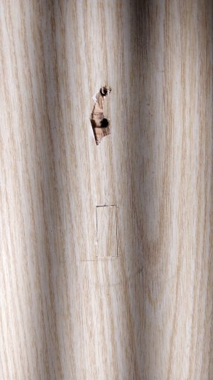 IMG_20211221_192322.jpg IMG_20211221_192322.jpg