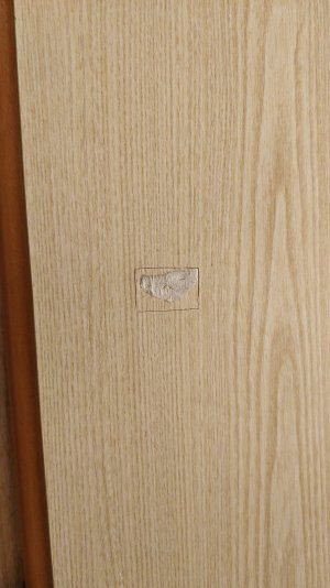 IMG_20211221_195604.jpg IMG_20211221_195604.jpg