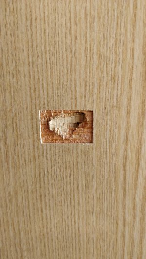 IMG_20211221_200142.jpg IMG_20211221_200142.jpg