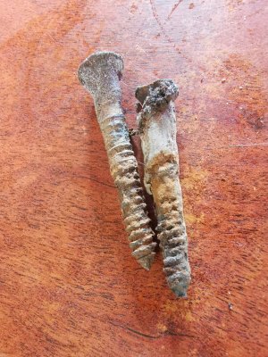 IMG_20211214_142712.jpg IMG_20211214_142712.jpg