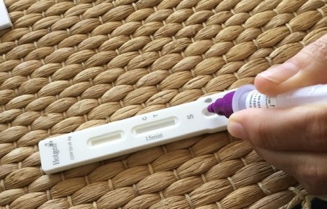 BF1755E8-64DF-40E9-A60B-1DBA35F2F497.jpeg BF1755E8-64DF-40E9-A60B-1DBA35F2F497.jpeg