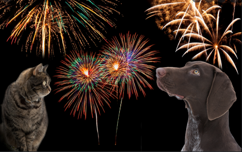 1640768175666.png 1640768175666.png