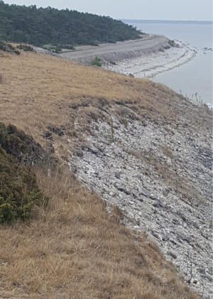 1640855837098.png 1640855837098.png