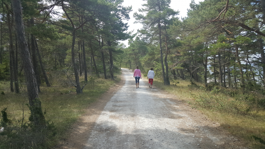 1640862284184.png 1640862284184.png