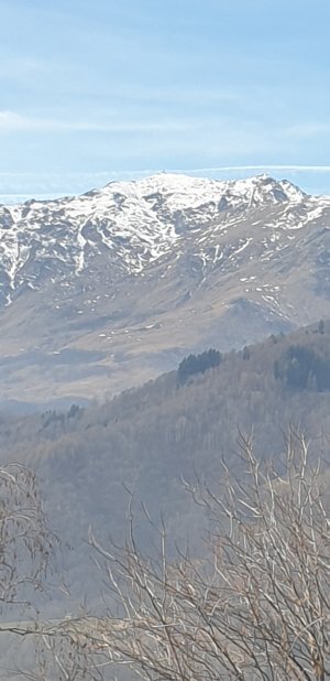 20220102_125217.jpg