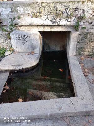 IMG_20220103_160211.jpg IMG_20220103_160211.jpg