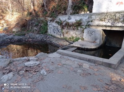 IMG_20220103_160226.jpg IMG_20220103_160226.jpg