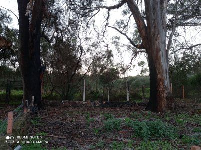 IMG_20220106_181059.jpg IMG_20220106_181059.jpg