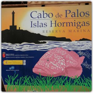 På väg hemåt