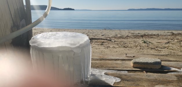 IMG_20220126_112718.jpg IMG_20220126_112718.jpg