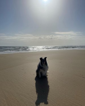 1B2440F6-7597-4DA6-81CA-013DDA8B4C34.jpeg 1B2440F6-7597-4DA6-81CA-013DDA8B4C34.jpeg