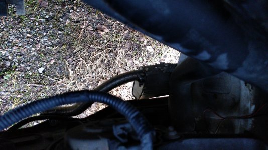 IMG_20220128_135505.jpg IMG_20220128_135505.jpg