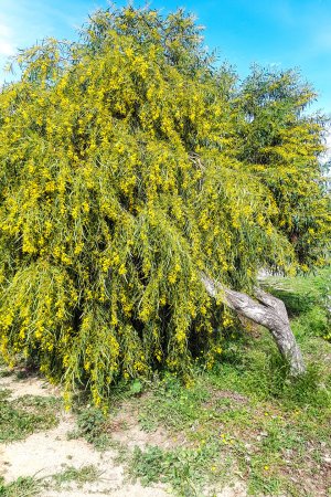 20220301_123119a.jpg 20220301_123119a.jpg