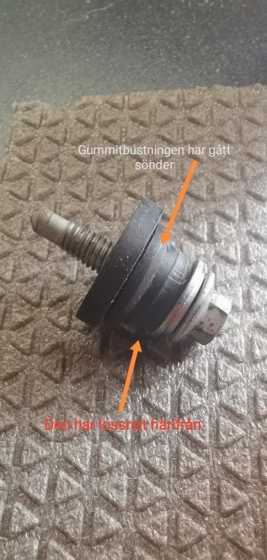 IMG_20220329_151157.jpg IMG_20220329_151157.jpg