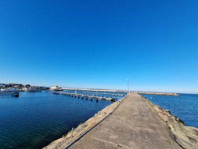 20220228_110617.jpg