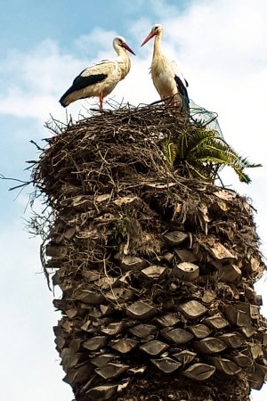 20220301_122441a.jpg 20220301_122441a.jpg