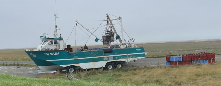 1650441721025.png 1650441721025.png