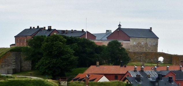 P1120175B.jpg