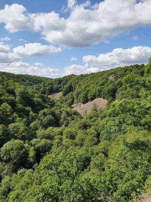 20210804_105305[1].jpg