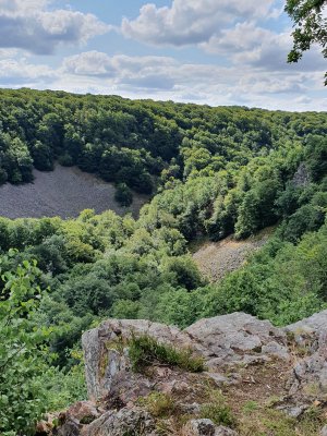 20210804_110315[1].jpg