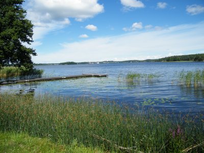 DSCF8910.JPG