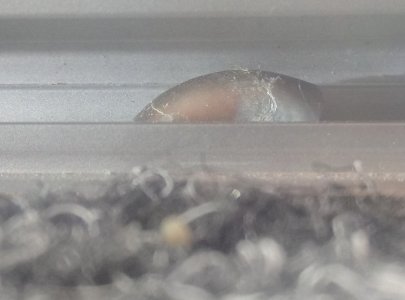 IMG_20220502_152001_2.jpg IMG_20220502_152001_2.jpg