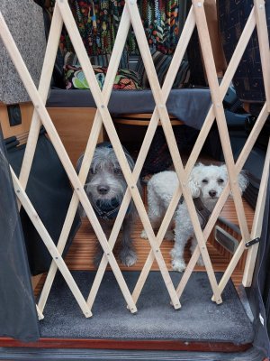 20220515_135517.jpg 20220515_135517.jpg