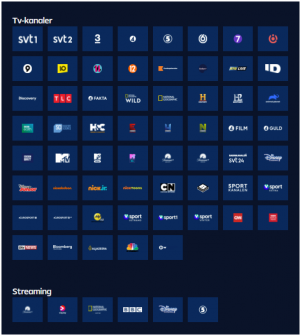 Skärmbild 2022-05-21 073609.png