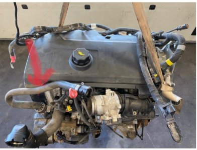 1655202361870.jpeg 1655202361870.jpeg