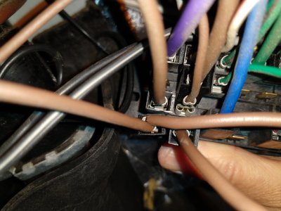 IMG_20220614_154814199.jpg IMG_20220614_154814199.jpg