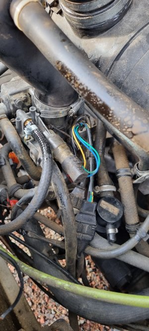 20220616_185135.jpg 20220616_185135.jpg